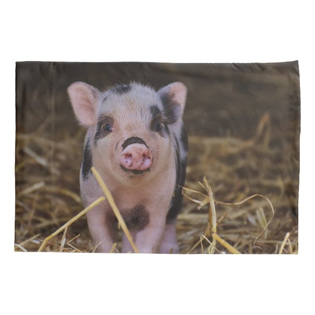 Sweet Cute Pig Pillow Case (Back)