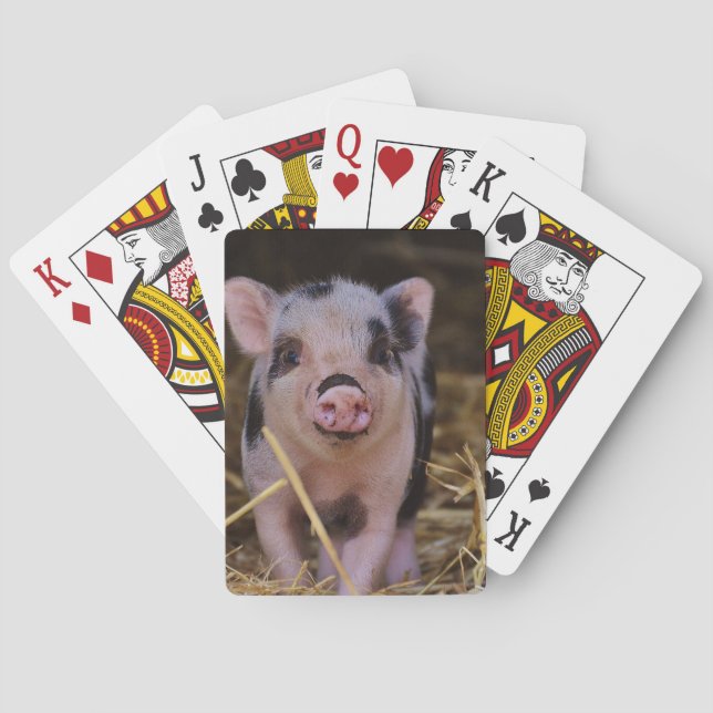 Sweet Cute Pig Poker Cards (Back)
