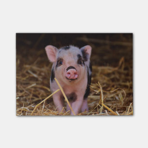 Sweet Cute Pig Post-it Notes