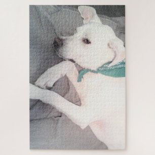 Sweet Cute Puppy Dog Wearing Green Scarf Jigsaw Puzzle