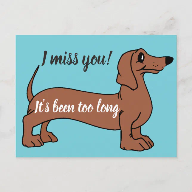 Sweet Dachshund I Miss You Its Been Too Long Card Zazzle