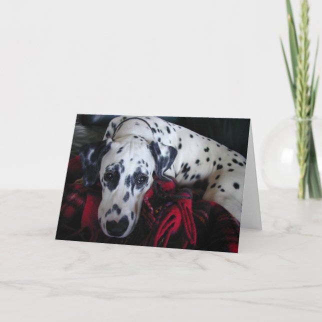 Sweet Dalmation Holiday Card (Front)