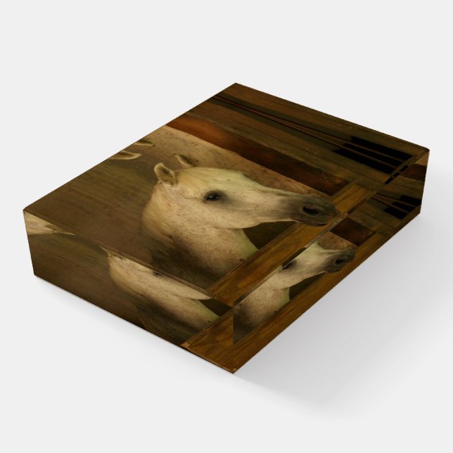 Sweet Dappled Horse Paper Weight (Angled)