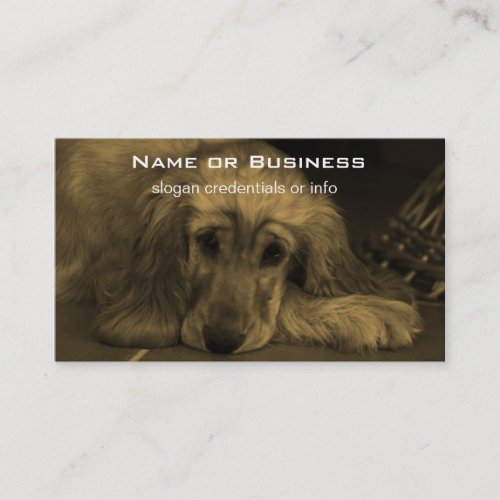 Sweet Dog _ Golden Retriever in Sepia Tones Business Card