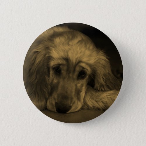 Sweet Dog _ Golden Retriever in Sepia Tones Button