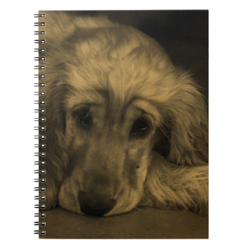 Sweet Dog _ Golden Retriever in Sepia Tones Notebook