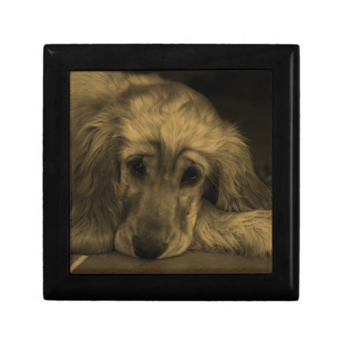 Sweet Dog _ Golden Retriever laying down Keepsake Box