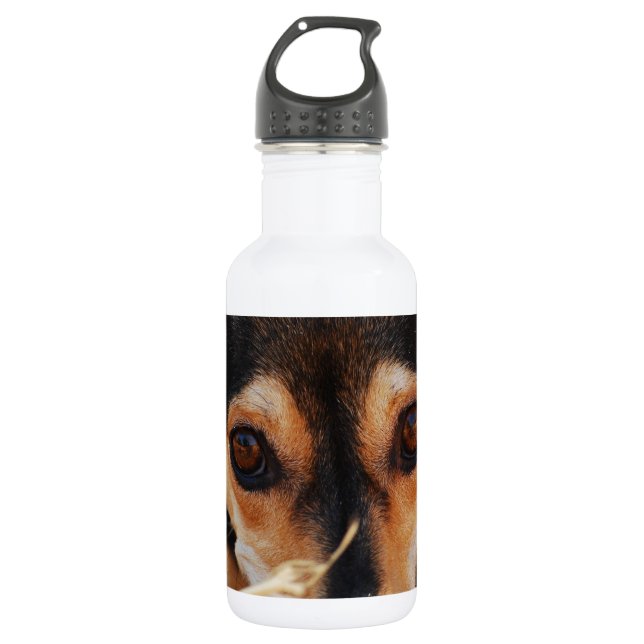 Sweet dog laying in hay stainless steel water bottle (Front)