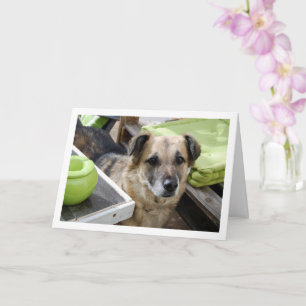 Sweet Dog Portrait Card