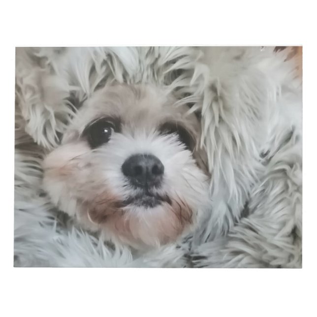 Sweet dog, puppy notepad (Front)