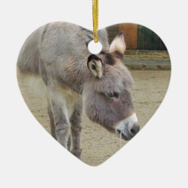 Sweet Donkey, Animal Gray, Horse Family Ceramic Ornament (Front)