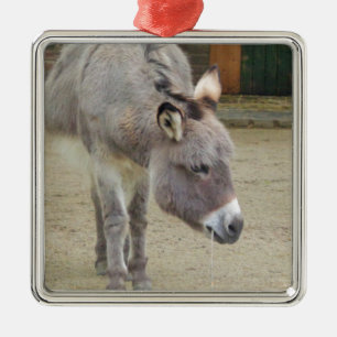 Sweet Donkey, Animal Grey, Horse Family Metal Ornament