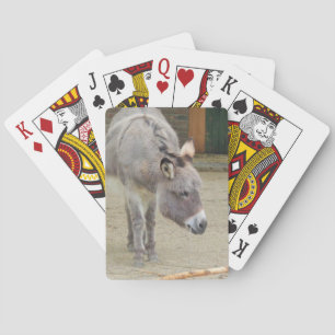 Sweet Donkey, Animal Grey, Horse Family Poker Cards