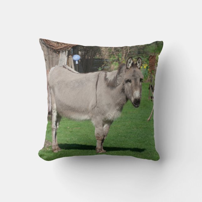Sweet Donkey In The Garden Throw Pillow (Front)