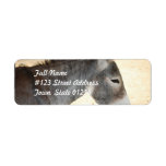 Sweet Donkey Label