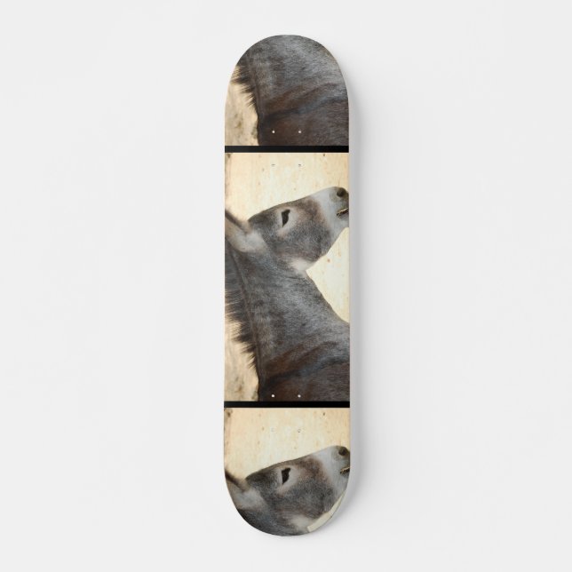 Sweet Donkey Skateboard Deck (Front)