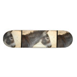 Sweet Donkey Skateboard Deck