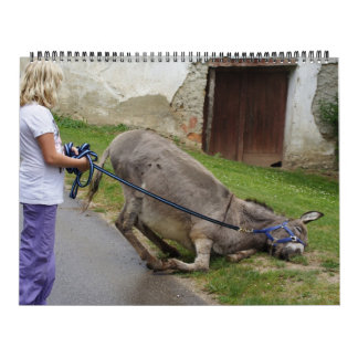 Sweet Donkeys All Year   Calendar
