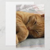 Sweet Dreams (Front/Back)