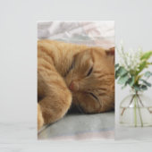 Sweet Dreams (Standing Front)