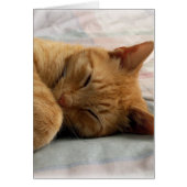 Sweet Dreams (Front)