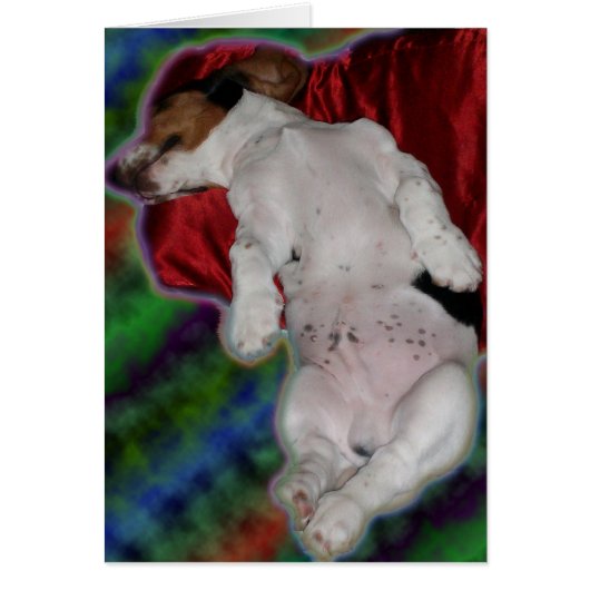 sweet dreams Basset card (Front)