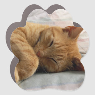 Sweet Dreams Car Magnet