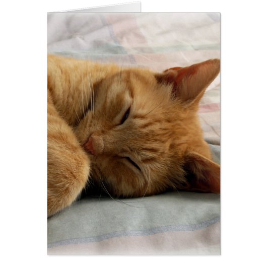 Sweet Dreams Cards (Front)