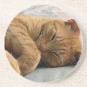 Sweet Dreams Coaster