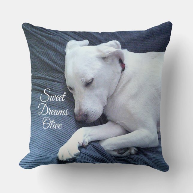 Sweet Dreams Cute White Labrador Retriever Mix Dog Throw Pillow (Front)