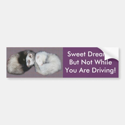 Sweet Dreams Ferrets Bumper Sticker