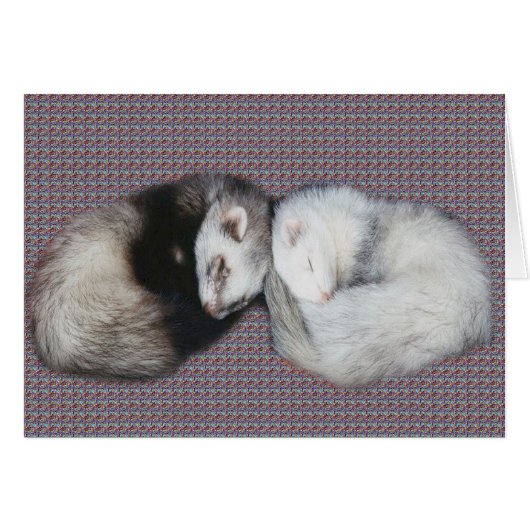 Sweet Dreams Ferrets Cards (Front Horizontal)