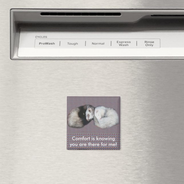 Sweet Dreams Ferrets Magnet (In Situ (Dishwasher))