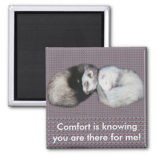 Sweet Dreams Ferrets Magnet