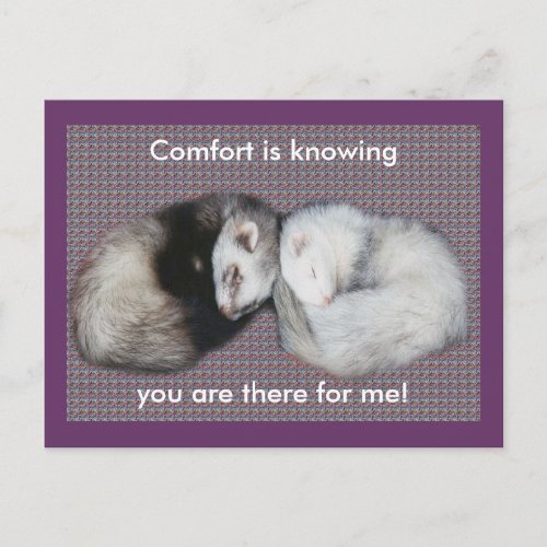 Sweet Dreams Ferrets Postcard