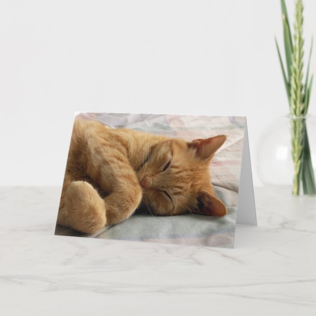 Sweet Dreams Greeting Card (Front)