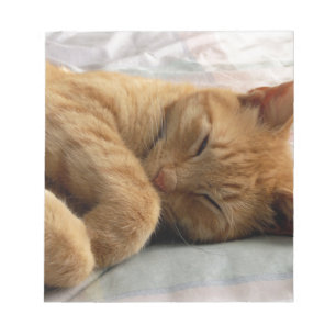 Sweet Dreams Notepad