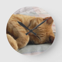 Sweet Dreams