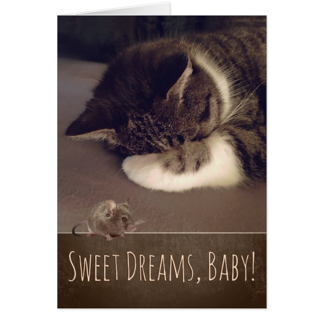 Sweet Dreams Sleeping Kitty (Text customizable) Cards (Front)