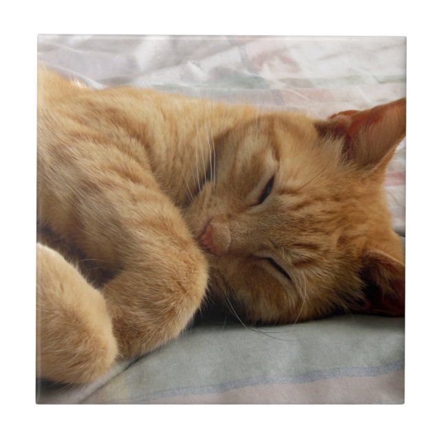 Sweet Dreams Tile (Front)