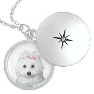 Sweet Dreamy Maltese Locket Necklace