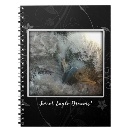 Sweet Eagle Dreams  Notebook