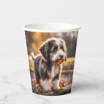 Sweet expatriate puppy