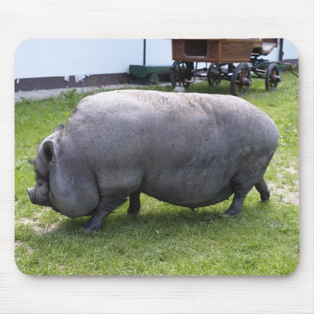 Sweet Fat Piggy | Farm Animal Mouse Pad (Front)