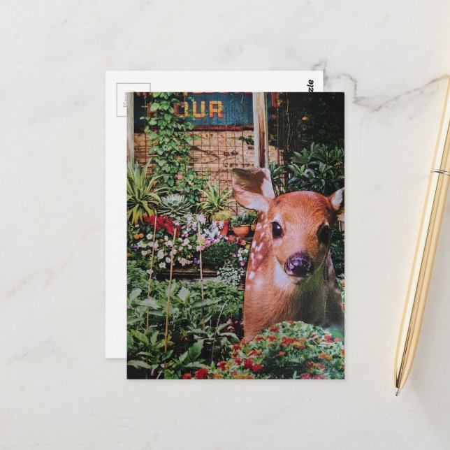 Sweet Fawn in the Garden Collage Postcard (Front/Back In Situ)
