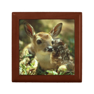 Sweet Fawn Jewelry Box