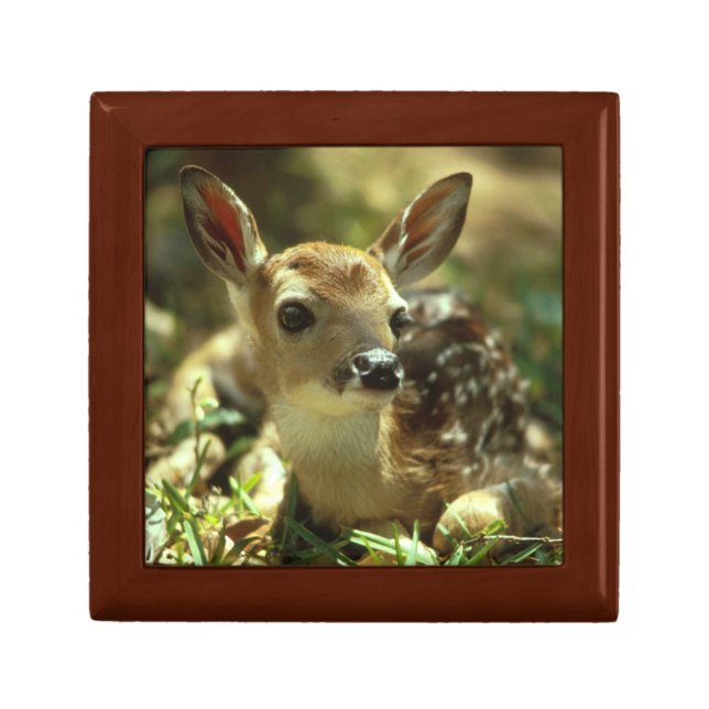 Sweet Fawn Jewelry Box (Front)