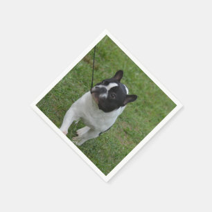 Sweet French Bulldog Paper Napkins