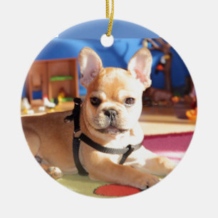 Sweet French Bulldog puppy Ceramic Ornament