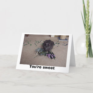 Sweet Friend Thank You Card